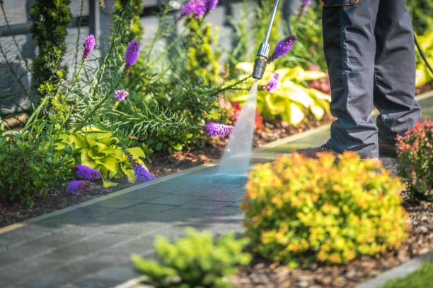Best Building Exterior Pressure Washing in Lagrange, GA
