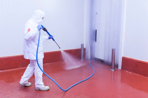 Best Sidewalk and Walkway Pressure Cleaning in Lagrange, GA